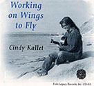 Working on Wings to Fly icon for website store