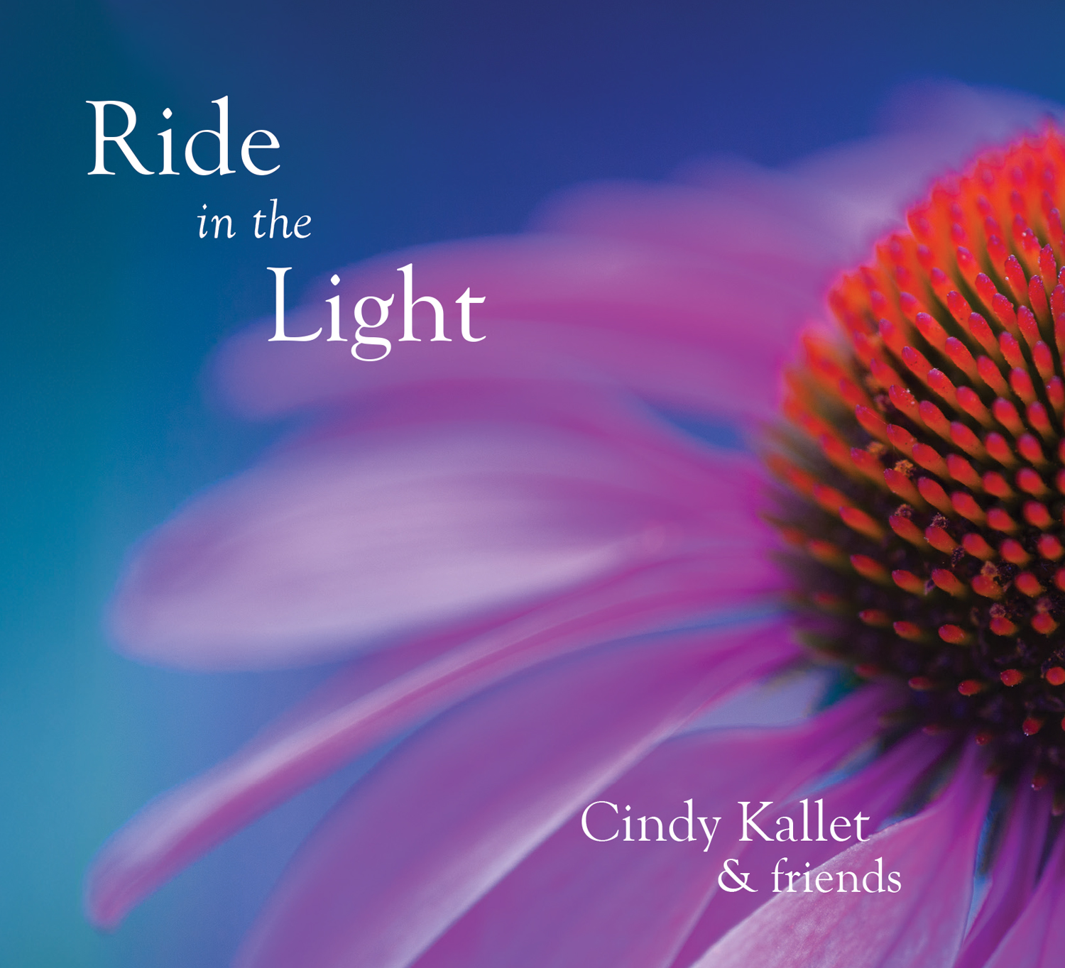 Ride in the Light CIndy Kallet CD